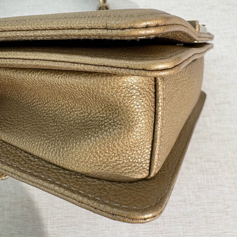 CHANEL Metallic Python Boy Flap Bag Small GHW - image 7